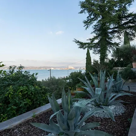 Bellevue Molet Apartma *